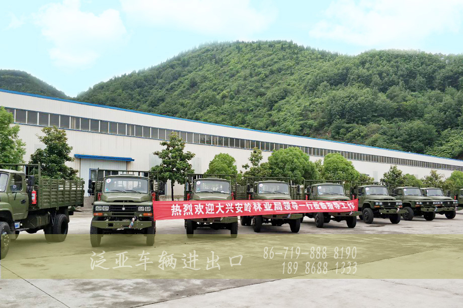 <strong>我司针对客户要求对成熟车型再改进获得高度好评</strong>