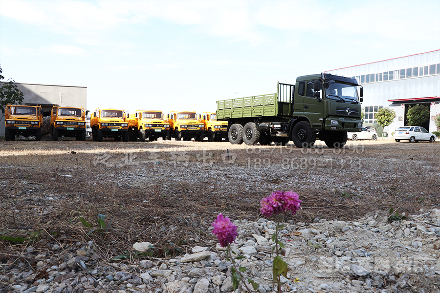 东风四驱六驱，EQ2082，EQ2102，EQ2102N，越野卡车，越野特种车，越野专用车