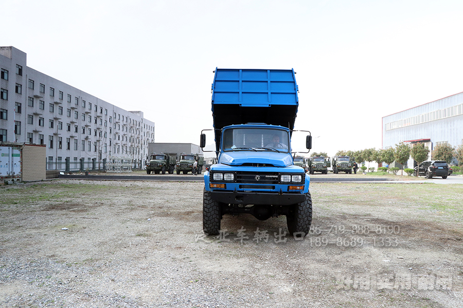 <strong>怎么选购东风6X6六驱EQ2100自卸越野车，在选购和提车时应该注意什么问题</strong>