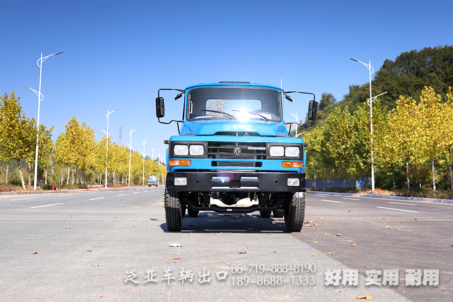 东风4*2底盘,4*2轻卡,尖头越野底盘,越野底盘定制,116马力底盘,小型卡车底盘,EQ3092,轻型微卡,微卡底盘改装