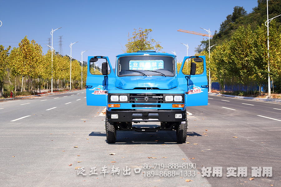 东风4*2底盘,4*2轻卡,尖头越野底盘,越野底盘定制,116马力底盘,小型卡车底盘,EQ3092,轻型微卡,微卡底盘改装