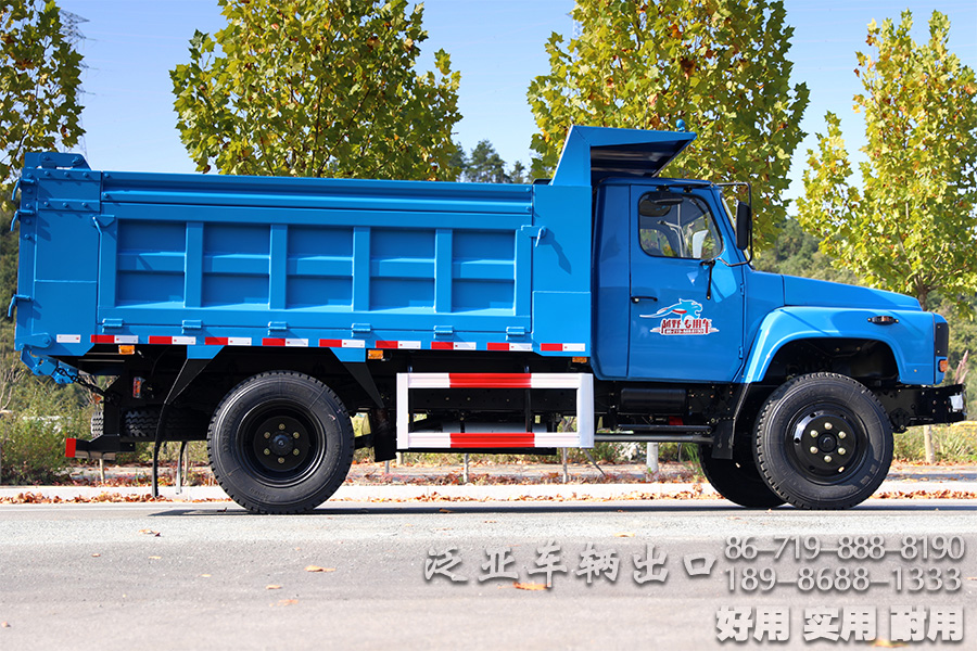 东风4*2底盘,4*2轻卡,尖头越野底盘,越野底盘定制,116马力底盘,小型卡车底盘,EQ3092,轻型微卡,微卡底盘改装