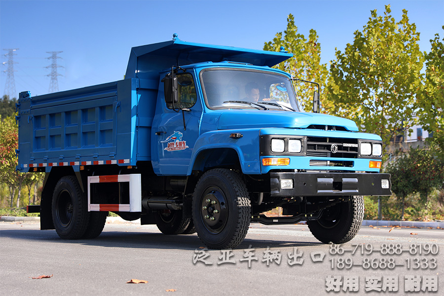 东风4*2底盘,4*2轻卡,尖头越野底盘,越野底盘定制,116马力底盘,小型卡车底盘,EQ3092,轻型微卡,微卡底盘改装