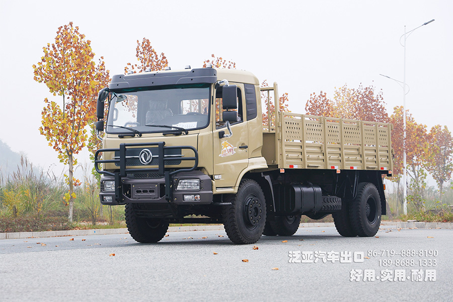 EQ1120GA东风六吨运输车_4*2东风特种越野卡车_210马力运兵车